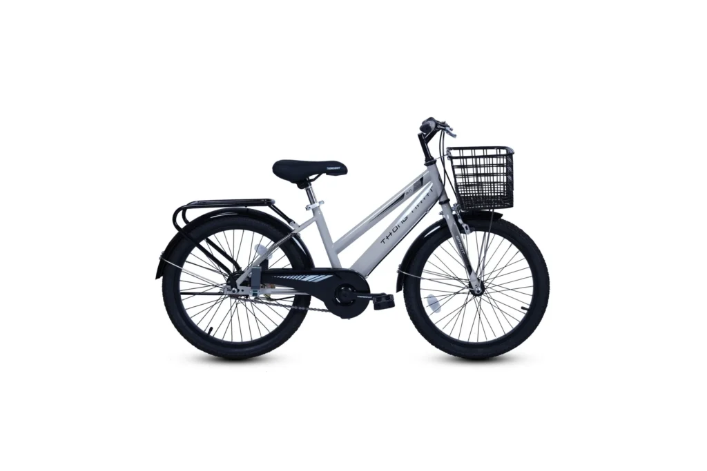 Xe đạp trẻ em Thống Nhất mẫu GN 06 – 20inch 2024