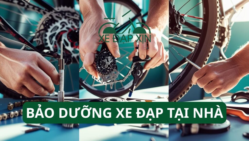 Bảo dưỡng xe đạp tại nhà